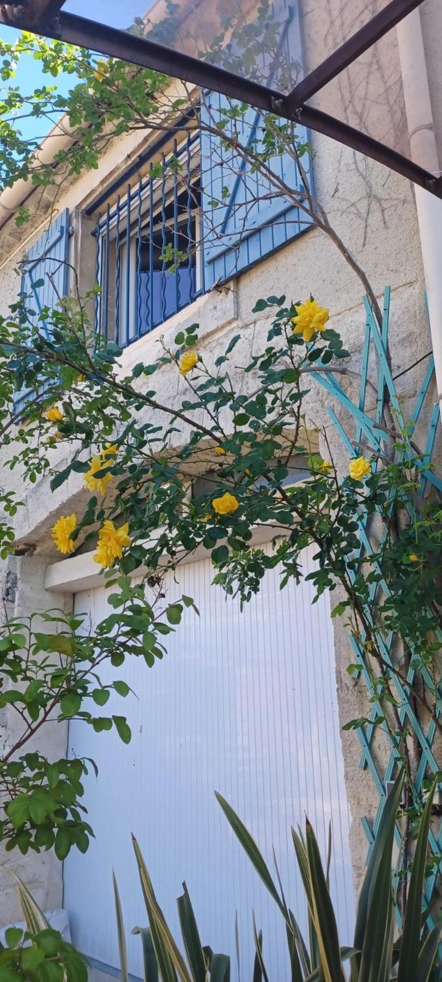 Le Colibri Bleu Bed and Breakfast Argeliers Εξωτερικό φωτογραφία