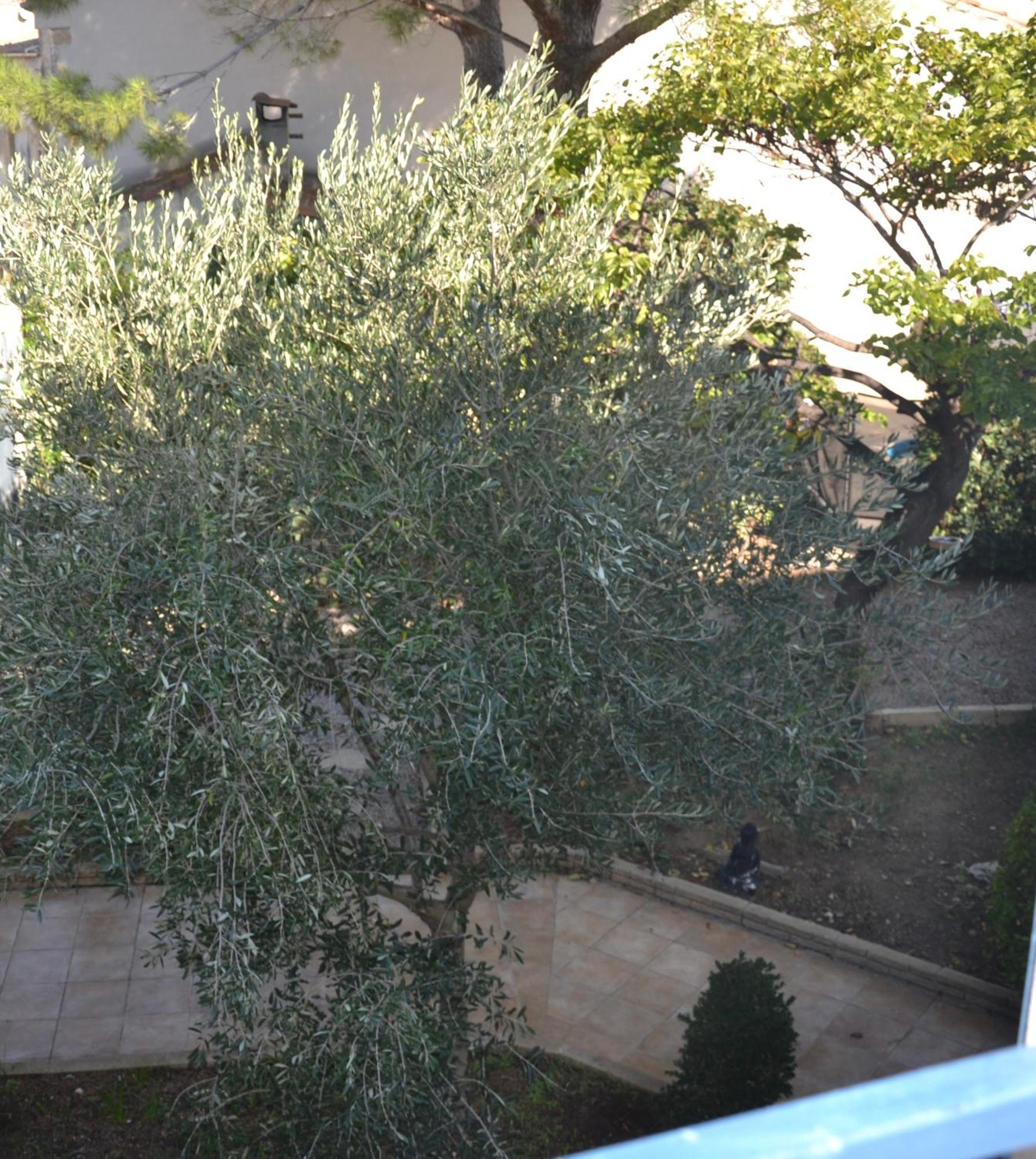 Le Colibri Bleu Bed and Breakfast Argeliers Εξωτερικό φωτογραφία